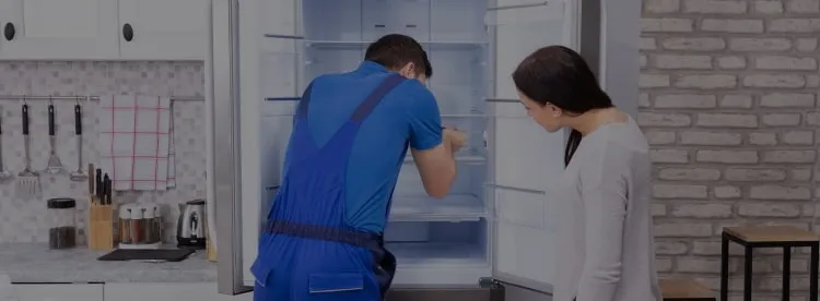 Ремонт холодильников Severin